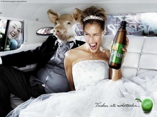 Champú Extra Volumen 