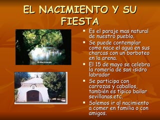 EL NACIMIENTO Y SU FIESTA Es el paraje mas natural de nuestro pueblo. Se puede contemplar como nace el agua en sus charcas con un borboteo en la arena. El 15 de mayo se celebra la romería de san isidro labrador Se participa con carrozas y caballos, también es típico bailar sevillanas.etc. Solemos ir al nacimiento a comer en familia o con amigos. 