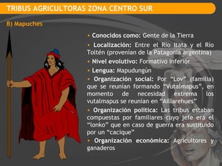TRIBUS AGRICULTORAS ZONA CENTRO SUR B) Mapuches Conocidos como:  Gente de la Tierra Localización:  Entre el Río Itata y el Río Toltén (provenían de la Patagonia argentina) Nivel evolutivo:  Formativo inferior Lengua:  Mapudungún Organización social:  Por “Lov” (familia) que se reunían formando “Vutalmapus”, en momento de necesidad extrema los vutalmapus se reunían en “Aillarehues” Organización política:  Las tribus estaban compuestas por familiares cuyo jefe era el “lonko” que en caso de guerra era sustituido por un “cacique” Organización económica:  Agricultores y ganaderos 
