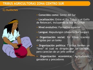 TRIBUS AGRICULTORAS ZONA CENTRO SUR C) Huilliches Conocidos como:  Gente del Sur Localización:  Entre el Río Toltén y el Golfo de Reloncaví, incluyendo la isla de Chiloé Nivel evolutivo:  Formativo superior Lengua:  Mapudungún (dialecto  Ste Sungun) Organización social:  En tribus (cavies) dirigidas por un lonko  Organización política:  7 tribus forman un “levo” el cual es dirigido por un cacique, pero carecían de un jefe central Organización económica:  Agricultores, ganaderos y pescadores 