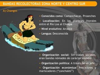 BANDAS RECOLECTORAS ZONA NORTE Y CENTRO SUR A) Changos Conocidos como:  Camanchacas, Proanches Localización:  En las planicies litorales entre el Río Loa al Choapa Nivel evolutivo:  Arcaico Lengua:  Desconocida Organización social:  Sin clases sociales, eran bandas nómades de carácter costero Organización política:  A través de un jefe Organización económica:  Pescadores y mariscadores (“conchales”) 