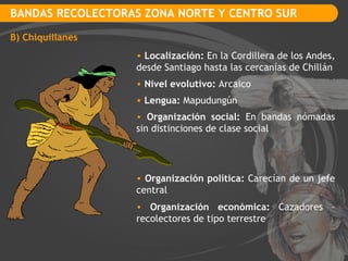 BANDAS RECOLECTORAS ZONA NORTE Y CENTRO SUR B) Chiquillanes Localización:  En la Cordillera de los Andes, desde Santiago hasta las cercanías de Chillán Nivel evolutivo:  Arcaico Lengua:  Mapudungún Organización social:  En bandas nómadas sin distinciones de clase social Organización política:  Carecían de un jefe central Organización económica:  Cazadores – recolectores de tipo terrestre 