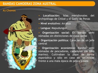 BANDAS CANOERAS ZONA AUSTRAL A) Chonos Localización:  Islas meridionales del archipiélago de Chiloé y el Golfo de Penas Nivel evolutivo:  Arcaico Lengua:  Mapudungún Organización social:  En bandas semi nómadas sin distinciones de clase social Organización política:  Carecían de un jefe central Organización económica:  Bandas semi nómadas de pescadores, cazadores (de lobo marino). Cultivaban la papa de forma esporádica y sólo en caso de necesidad frente a una mala época de pesca y caza 