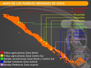 MAPA DE LOS PUEBLOS INDIGENAS DE CHILE Tribus agricultoras Zona Norte Tribus agricultoras Zona Centro Sur Bandas recolectoras Zona Norte y Centro Sur Bandas Canoeras Zona Austral Bandas Pedestres Zona Austral Atacameños Diaguitas Picunches Mapuches Huilliches Changos Chiquillanes Chonos Alacalufes Yaganes Tehuelches Poyas 