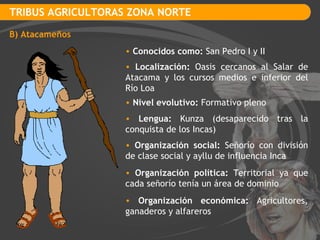 TRIBUS AGRICULTORAS ZONA NORTE B) Atacameños Conocidos como:  San Pedro I y II Localización:  Oasis cercanos al Salar de Atacama y los cursos medios e inferior del Río Loa Nivel evolutivo:  Formativo pleno Lengua:  Kunza (desaparecido tras la conquista de los Incas) Organización social:  Señorío con división de clase social y ayllu de influencia Inca Organización política:  Territorial ya que cada señorío tenía un área de dominio Organización económica:  Agricultores, ganaderos y alfareros 