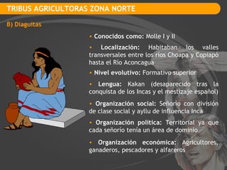TRIBUS AGRICULTORAS ZONA NORTE B) Diaguitas Conocidos como:  Molle I y II Localización:  Habitaban los valles transversales entre los ríos Choapa y Copiapó hasta el Río Aconcagua Nivel evolutivo:  Formativo superior Lengua:  Kakan (desaparecido tras la conquista de los Incas y el mestizaje español) Organización social:  Señorío con división de clase social y ayllu de influencia Inca Organización política:  Territorial ya que cada señorío tenía un área de dominio Organización económica:  Agricultores, ganaderos, pescadores y alfareros 