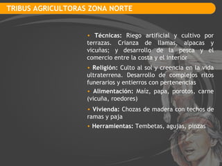 TRIBUS AGRICULTORAS ZONA NORTE Técnicas:  Riego artificial y cultivo por terrazas. Crianza de llamas, alpacas y vicuñas; y desarrollo de la pesca y el comercio entre la costa y el interior Religión:  Culto al sol y creencia en la vida ultraterrena. Desarrollo de complejos ritos funerarios y entierros con pertenencias Vivienda:  Chozas de madera con techos de ramas y paja  Alimentación:  Maíz, papa, porotos, carne (vicuña, roedores) Herramientas:  Tembetas, agujas, pinzas 