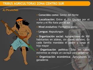 TRIBUS AGRICULTORAS ZONA CENTRO SUR A) Picunches Conocidos como:  Gente del Norte Localización:  Entre el Río Choapa por el norte y el Río Itata por el sur Nivel evolutivo:  Formativo pleno Lengua:  Mapudungún Organización social:  Agrupaciones de 300 habitantes en aldeas, sin clases sociales. En cada familia mandaba el padre y luego el hijo mayor Organización política:  Sólo en casos extremos se elegía un cacique para gobernar Organización económica:  Agricultores y ganaderos 