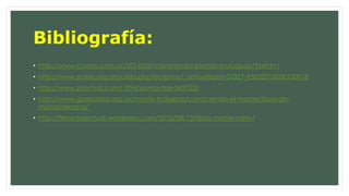 Bibliografía: 
• http://www.cromo.com.uy/2014/06/volvieron-los-pumas-a-uruguay/?print=1 
• http://www.scielo.org.ar/scielo.php?script=sci_arttext&pid=S0327-93832010000100018 
• http://www.zoochat.com/1594/puma-tzar-343722/ 
• http://www.guayubira.org.uy/monte-indigena/conociendo-el-monte/tipos-de-monte/ 
serrano/ 
• http://filtrointelectual.wordpress.com/2010/08/13/tipos-monte-nativ/ 
