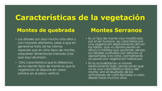 Características de la vegetación 
Montes de quebrada 
• Los árboles son aquí mucho más altos y 
con mayores diámetros, pese a que en 
general se trata de las mismas 
especies que en otros tipos de montes, 
adquieren dimensiones menores a las 
que aquí alcanzan. 
• Otra característica que lo diferencia 
de los demás tipos de monte es que la 
vegetación se dispone en varios 
estratos en el plano vertical. 
Montes Serranos 
• Es un tipo de monte muy modificado 
por el ser humano, se caracteriza por 
una vegetación relativamente alta en 
las faldas, que va disminuyendo en 
altura a medida que asciende, siendo 
sus árboles sustituidos por arbustos al 
aproximarse a la cima, normalmente 
ocupada por vegetación herbácea. 
• En la actualidad es un monte 
relativamente bajo, remarcando que 
no es una característica típica del 
monte, sino el resultado de las 
actividades de corta llevadas a cabo 
desde hace muchos años 
 