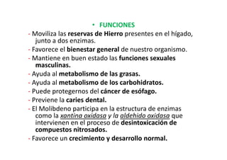 • FUNCIONES
- Moviliza las reservas de Hierro presentes en el hígado,
   junto a dos enzimas.
- Favorece el bienestar general de nuestro organismo.
- Mantiene en buen estado las funciones sexuales
   masculinas.
- Ayuda al metabolismo de las grasas.
- Ayuda al metabolismo de los carbohidratos.
- Puede protegernos del cáncer de esófago.
- Previene la caries dental.
- El Molibdeno participa en la estructura de enzimas
   como la xantina oxidasa y la aldehido oxidasa que
   intervienen en el proceso de desintoxicación de
   compuestos nitrosados.
- Favorece un crecimiento y desarrollo normal.
 