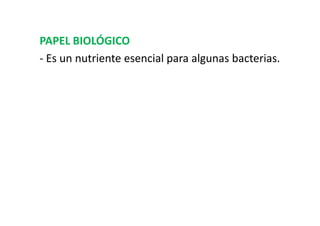 PAPEL BIOLÓGICO
- Es un nutriente esencial para algunas bacterias.
 