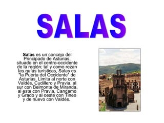 Salas  es un concejo del Principado de Asturias, situado en el centro-occidente de la región; tal y como rezan las guías turísticas, Salas es &quot;la Puerta del Occidente&quot; de Asturias. Limita al norte con Valdés, Cudillero y Pravia, al sur con Belmonte de Miranda, al este con Pravia, Candamo y Grado y al oeste con Tineo y de nuevo con Valdés.  SALAS 