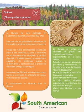 La Quínoa ha sido cultivada en
Sudamérica desde hace unos 5000 años
Fue uno de los principales alimentos de
los pueblos andinos preincaicos e incaicos
Posee los ocho aminoácidos esenciales
para el ser humano, lo que la convierte
en un alimento muy completo y de fácil
digestión. También posee un excepcional
equilibrio de proteínas, grasas y
carbohidratos, destacándose la presencia
de ácidos omega 6 y omega 3
Los granos de Quínoa se consumen como
harina o en grano. Es utilizada en sopas,
como cereales o pastas
Es considerado un alimento libre de
Gluten
La Quínoa se utiliza en
infinidad de platos del
continente americano,
especialmente en la zona
andina
Actualmente es muy apreciada
por chefs y nutricionistas, se
ha abierto paso en la llamada
“Cocina Novoandina”
En Europa se está utilizando la
Quinoa en preparados
gastronómicos innovadores
La alta cocina también
experimenta con Quinoa, los
restaurantes incluyen
platos con Quinoa en sus
menús
Quínoa
(Chenopodium quinoa)
 