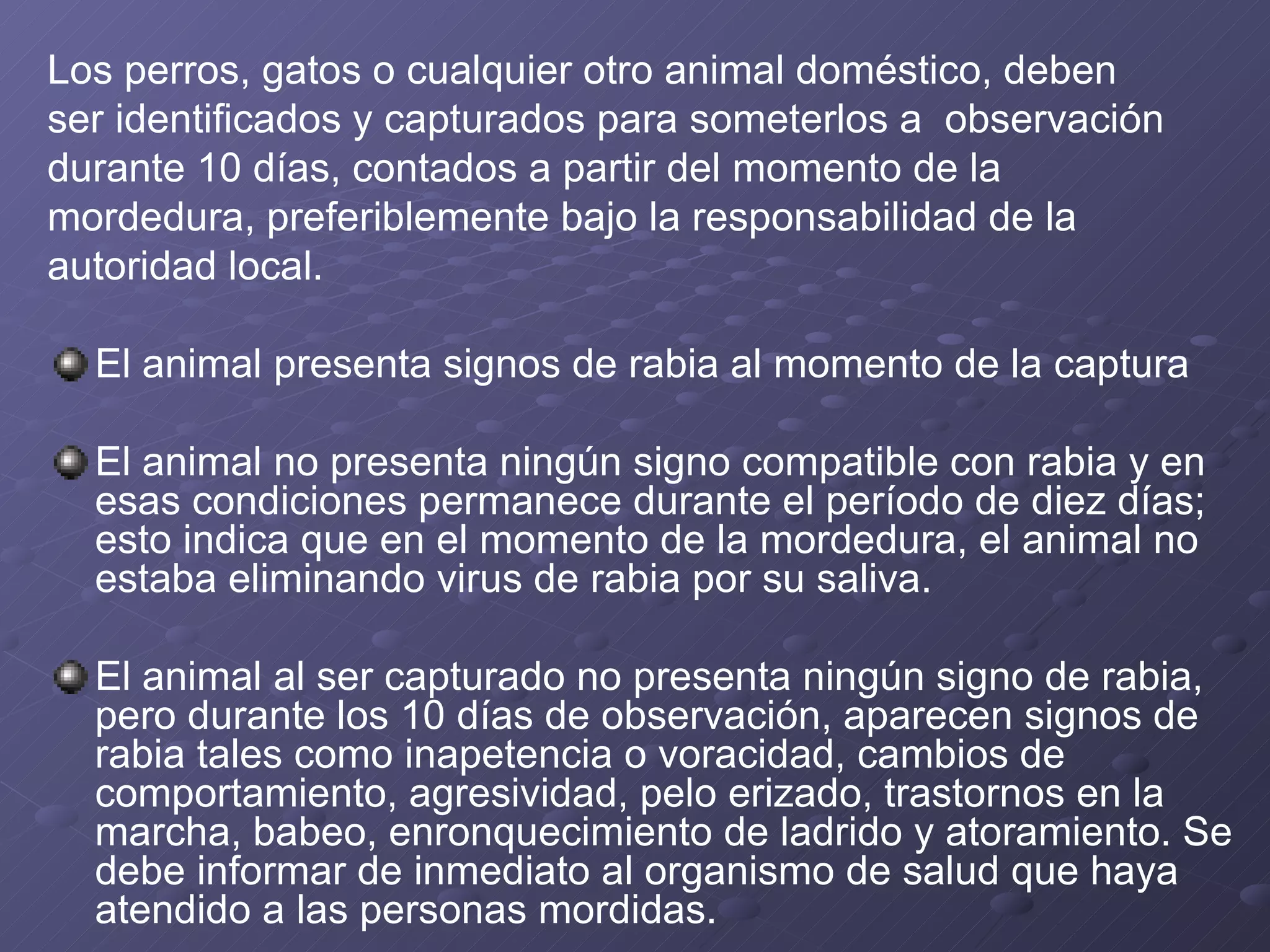 Los perros, gatos o cualquier otro animal doméstico, deben  ser identificados y capturados para someterlos a  observación  durante 10 días, contados a partir del momento de la  mordedura, preferiblemente bajo la responsabilidad de la  autoridad local. El animal presenta signos de rabia al momento de la captura El animal no presenta ningún signo compatible con rabia y en esas condiciones permanece durante el período de diez días; esto indica que en el momento de la mordedura, el animal no estaba eliminando virus de rabia por su saliva. El animal al ser capturado no presenta ningún signo de rabia, pero durante los 10 días de observación, aparecen signos de rabia tales como inapetencia o voracidad, cambios de comportamiento, agresividad, pelo erizado, trastornos en la marcha, babeo, enronquecimiento de ladrido y atoramiento. Se debe informar de inmediato al organismo de salud que haya atendido a las personas mordidas.  
