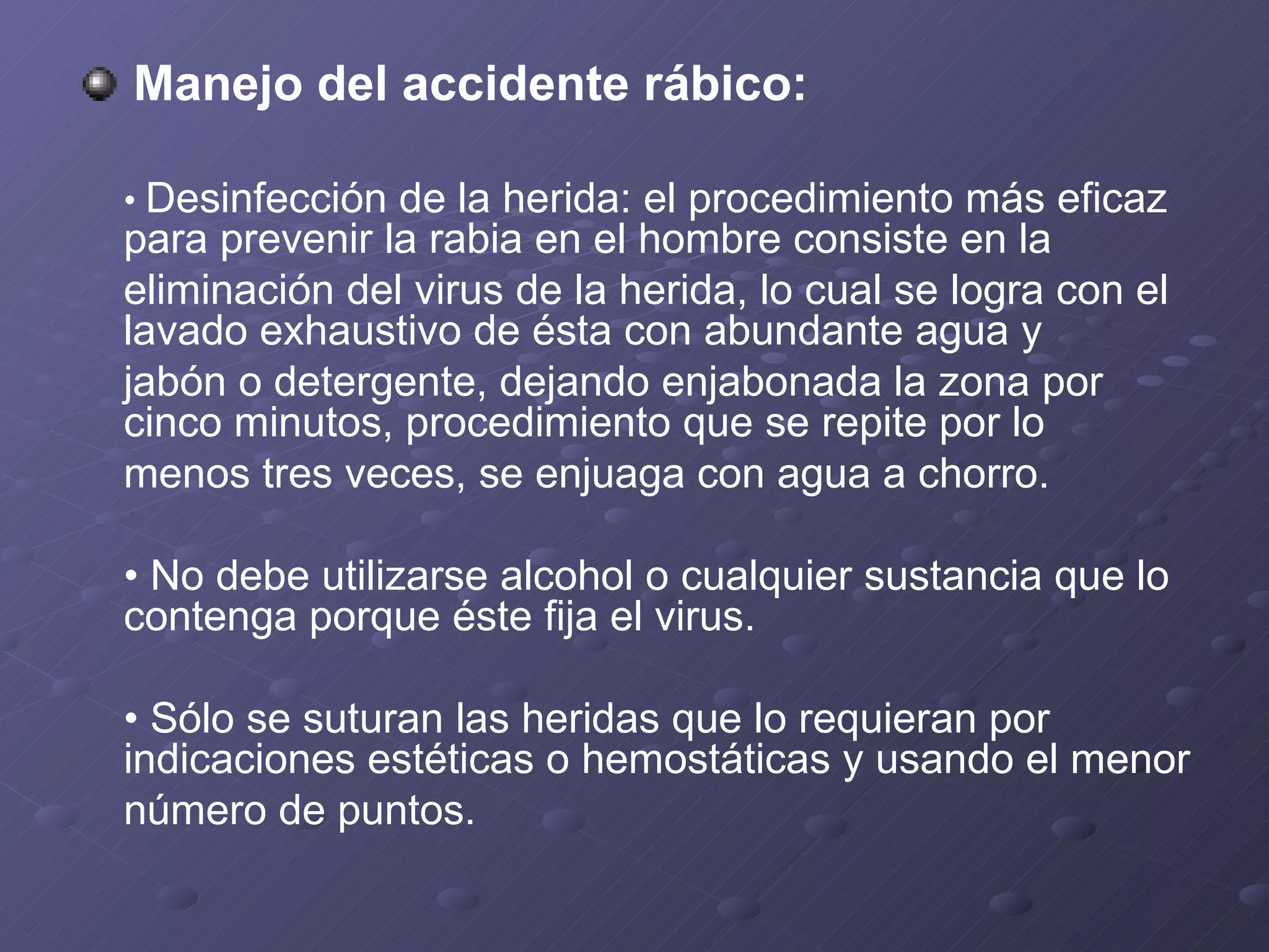 Manejo del accidente rábico: •  Desinfección de la herida: el procedimiento más eficaz para prevenir la rabia en el hombre consiste en la eliminación del virus de la herida, lo cual se logra con el lavado exhaustivo de ésta con abundante agua y jabón o detergente, dejando enjabonada la zona por cinco minutos, procedimiento que se repite por lo menos tres veces, se enjuaga con agua a chorro. •  No debe utilizarse alcohol o cualquier sustancia que lo contenga porque éste fija el virus. •  Sólo se suturan las heridas que lo requieran por indicaciones estéticas o hemostáticas y usando el menor número de puntos. 