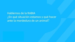 Panorama integral de la rabia: transmisión, prevención y estrategias ...