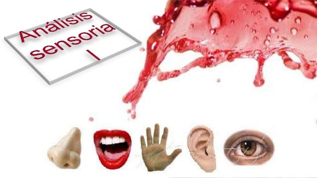 Presentación analisis sensorial