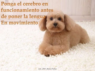 usat _2015 _Ramos Nuñez
 