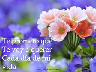 usat _2015 _Ramos Nuñez
 