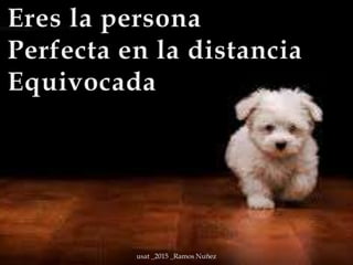 usat _2015 _Ramos Nuñez
 