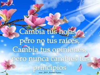 usat _2015 _Ramos Nuñez
 