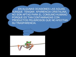 EN ALGUNAS OCASIONES LAS AGUAS,  AUNQUE  TENGAN  APARIENCIA CRISTALINA,  NO SON APTAS PARA EL CONSUMO HUMANO PORQUE ES´TAN CONTAMINADAS CON PRODUCTOS PELIGROSOS QUE NO AFECTAN SU TRASPARENCIA. 