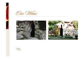 Our Wines
 