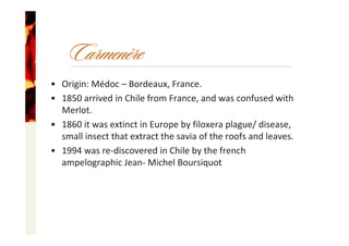 • Origin: Médoc – Bordeaux, France.
• 1850 arrived in Chile from France, and was confused with
Merlot.
• 1860 it was extinct in Europe by filoxera plague/ disease, 
small insect that extract the savia of the roofs and leaves.
• 1994 was re‐discovered in Chile by the french
ampelographic Jean‐ Michel Boursiquot
Carmenère
 