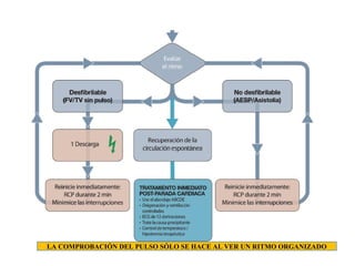 LA COMPROBACIÓN DEL PULSO SÓLO SE HACE AL VER UN RITMO ORGANIZADO