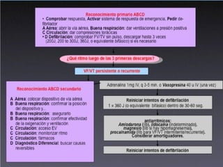 Presentación rcp 1 (2) - copia