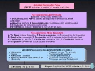 Presentación rcp 1 (2) - copia