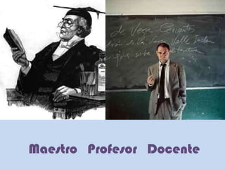 Maestro   Profesor   Docente 