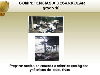 COMPETENCIAS A DESARROLAR
             grado 10




Preparar suelos de acuerdo a criterios ecológicos
            y técnicos de los cultivos
 