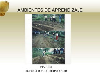 AMBIENTES DE APRENDIZAJE




          VIVERO
  RUFINO JOSE CUERVO SUR
 