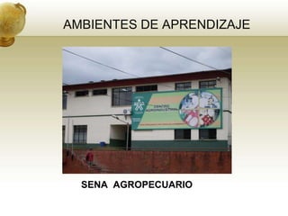 AMBIENTES DE APRENDIZAJE




  SENA AGROPECUARIO
 
