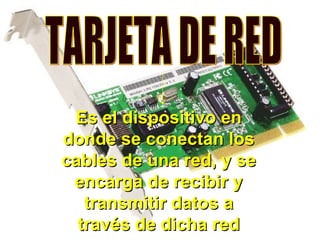 TARJETA DE RED Es el dispositivo en donde se conectan los cables de una red, y se encarga de recibir y transmitir datos a través de dicha red 