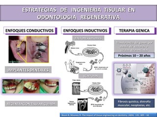 ESTRATEGIAS  DE  INGENIERIA  TISULAR  EN ODONTOLOGIA  REGENERATIVA ENFOQUES CONDUCTIVOS ENFOQUES INDUCTIVOS TERAPIA GENICA Baum B, Mooney D. The impact of tissue engineering on dentistry. JADA.  131. 309 – 18. 2009. IMPLANTES DENTALES REGENERACION TISULAR GUIADA FACTORES SOLUBLES SCAFFOLDS Transferencia  de  genes  por medio  de  vectores  a  células  diferenciadas Fibrosis quística, distrofia muscular, neoplasias, etc. Próximos 10 – 20 años 