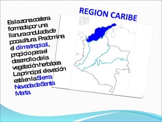 REGION CARIBE Es la zona costera formada por una llanura ondulada de poca altura. Predomina el  clima tropical , propicio para el desarrollo de la vegetación herbácea. La principal elevación está en la  Sierra Nevada de Santa Marta. 