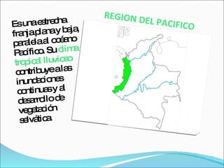 REGION DEL PACIFICO Es una estrecha franja plana y baja, paralela al océano Pacífico. Su  clima tropical lluvioso  contribuye a las inundaciones continuas y al desarrollo de vegetación selvática. 