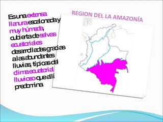 REGION DEL LA AMAZONÍA Es una  extensa llanura  escalonada y  muy húmeda , cubierta de  selvas ecuatoriales  desarrolladas gracias a las abundantes lluvias, típicas del  clima ecuatorial lluvioso  que allí predomina. 