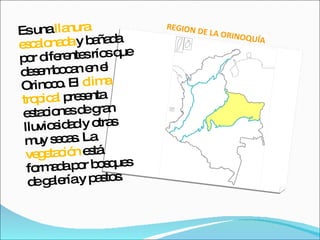 REGION DE LA ORINOQUÍA Es una  llanura escalonada  y bañada por diferentes ríos que desembocan en el Orinoco. El  clima tropical  presenta estaciones de gran lluviosidad y otras muy secas. La  vegetación  está formada por bosques de galería y pastos. 