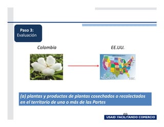 Paso 3:
Evaluación

             Colombia                       EE.UU.




 (a) plantas y productos de plantas cosechados o recolectados
 en el territorio de una o más de las Partes

                                                  69
 