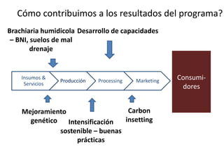 Insumos &
Servicios
Producción Processing Marketing Consumi-
dores
Intensificación
sostenible – buenas
prácticas
Desarrollo de capacidadesBrachiaria humidicola
– BNI, suelos de mal
drenaje
Carbon
insetting
Cómo contribuimos a los resultados del programa?
Mejoramiento
genético
 