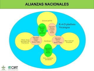 El potencial de forrajes para la ganadería sostenible y la mitigación del impacto de los efectos del cambio climático  