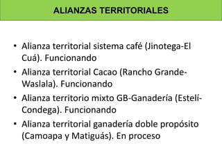 El potencial de forrajes para la ganadería sostenible y la mitigación del impacto de los efectos del cambio climático  