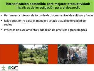 El potencial de forrajes para la ganadería sostenible y la mitigación del impacto de los efectos del cambio climático  