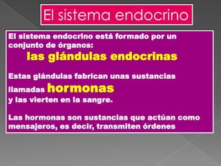 El sistema endocrino
El sistema endocrino está formado por un
conjunto de órganos:

las glándulas endocrinas

Estas glándulas fabrican unas sustancias

hormonas

llamadas
y las vierten en la sangre.

Las hormonas son sustancias que actúan como
mensajeros, es decir, transmiten órdenes

 