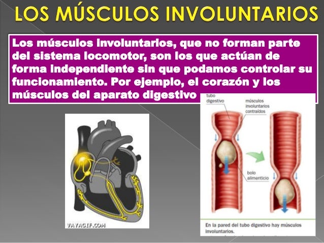 Presentación relación