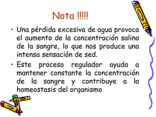 Una pérdida excesiva de agua provoca el aumento de la concentración salina de la sangre, lo que nos produce una intensa sensación de sed. Este proceso regulador ayuda a mantener constante la concentración de la sangre y contribuye a la homeostasis del organismo Nota !!!!! 